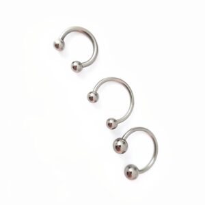 hinged hoops nose rings